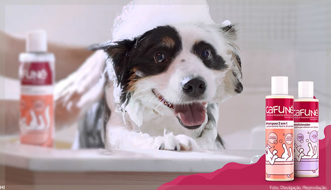 Produtos de limpeza seguros para pets