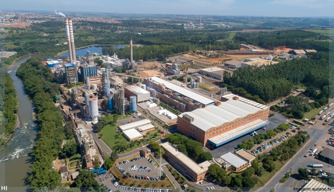 Suzano investirá R$ 1,66 bilhão em novas linhas de produção de papel tissue